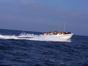 Paracas Boat Ride